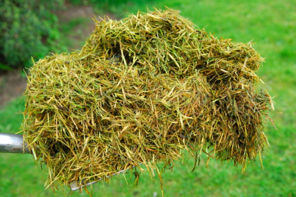 Processing of grass waste.